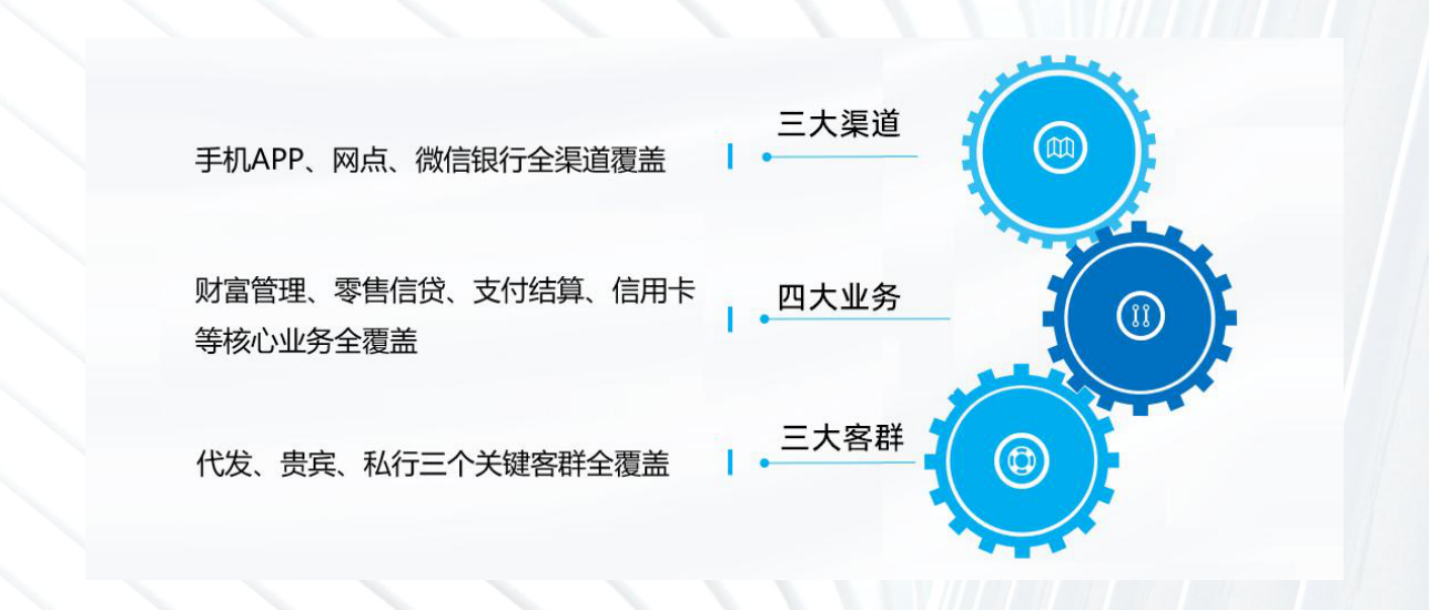 白皮书配图