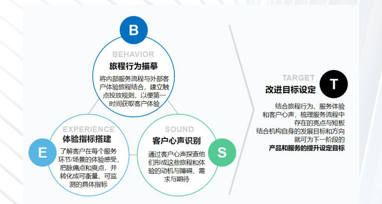 白皮书配图