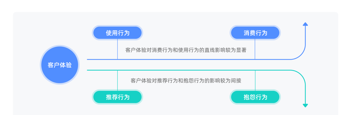 白皮书配图